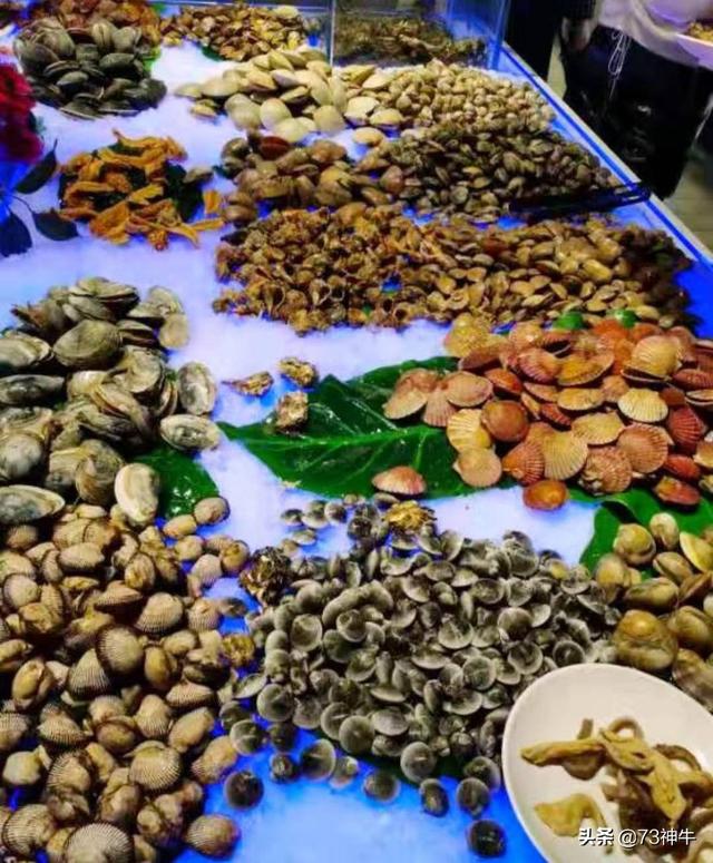 49元的自助餐，锅底38元，海虾毛肚不限量老板靠什么赚钱？