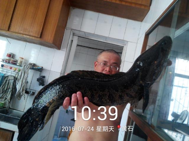 实名认证和v认证要多久啊？有什么技巧？