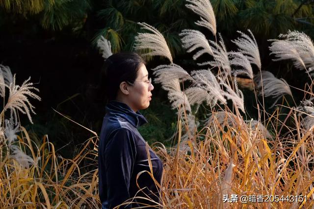 一个女人自律到50岁是怎样的状态？