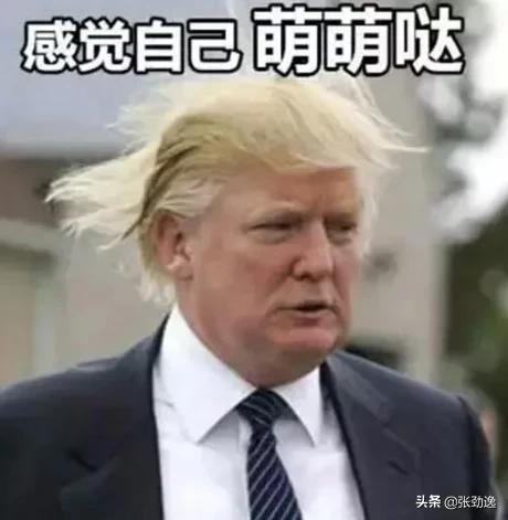 特朗普推特帐号被永久封杀！那么他会不会成立网络电视台？