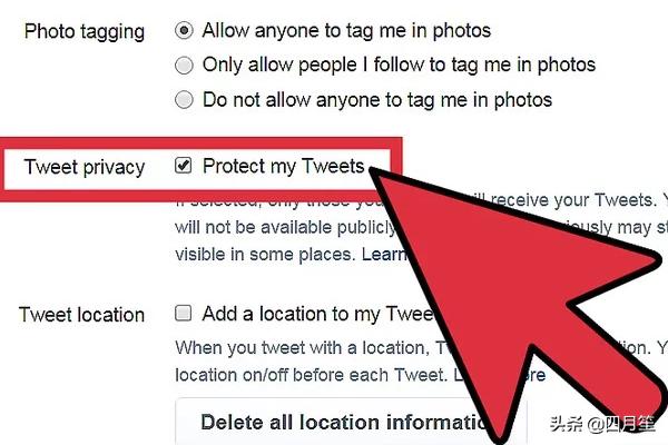 如何保护Twitter账户的隐私？