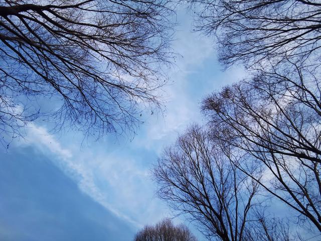 头条寒冬来了吗？大家好像都在说阅读量惨淡，那些大v呢？