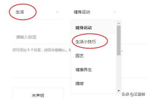 百家号没有volg领域吗，选择什么领域比较合适？
