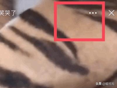 如何下载新浪微博里的视频？
