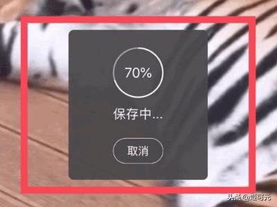 如何下载新浪微博里的视频？