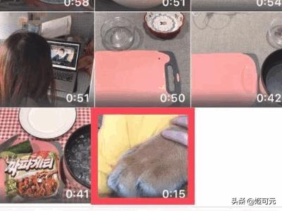 如何下载新浪微博里的视频？