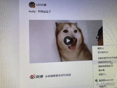 如何下载新浪微博里的视频？