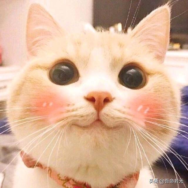 有哪些进货渠道App？