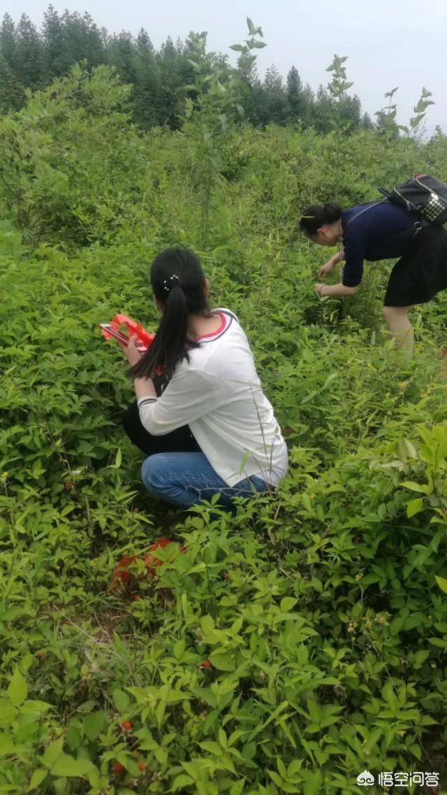 本人想养一批土鸡，因为第一次做没有客源，如何寻找客源？