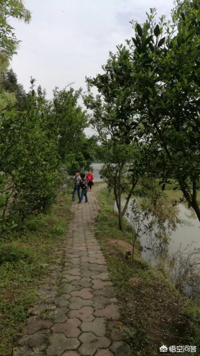 本人想养一批土鸡，因为第一次做没有客源，如何寻找客源？