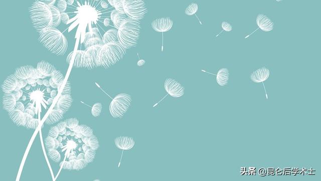 关于升级认证加黄V持续输出优质内容，只发布优质视频可以吗？