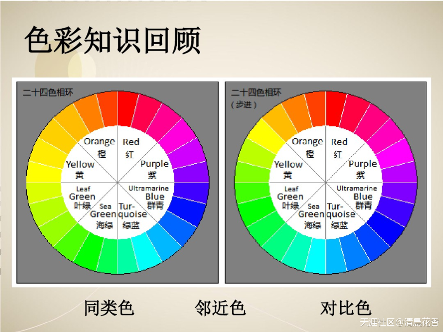 番茄炒鸡蛋，红配黄这种色彩偏好是怎么来的？