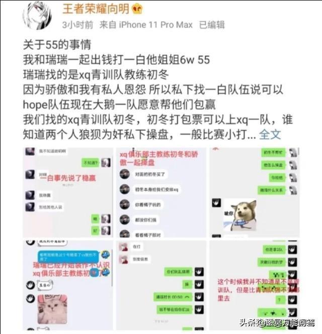 张大仙获得王者史上第一个“官方认证标”，梦泪两个，而他荣获“导演图标”，你怎么看？