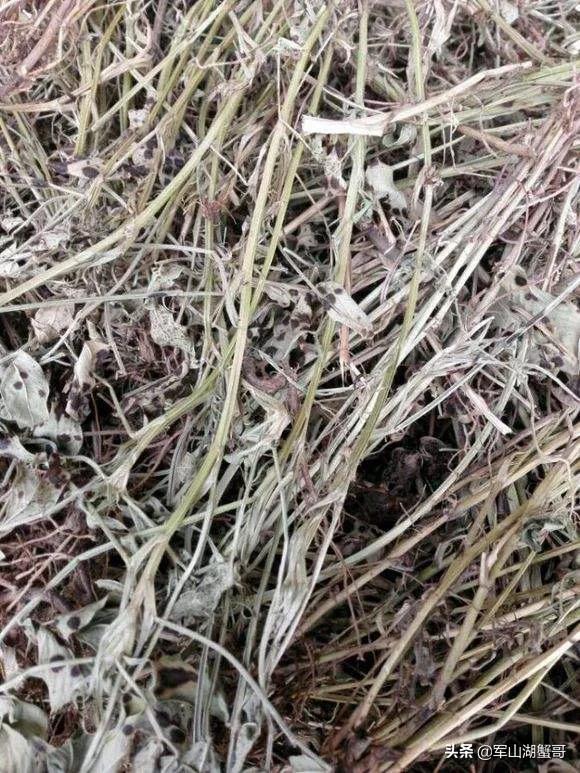 我们这里有大量的花生秧，怎么能联系到客户？