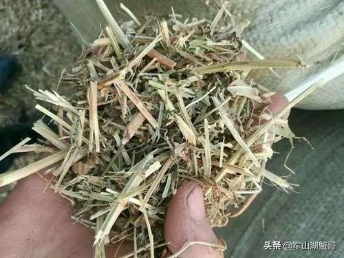 我们这里有大量的花生秧，怎么能联系到客户？
