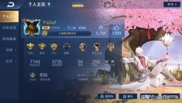 《王者荣耀》玩家310回收极品账号，看到皮肤以为赚翻，朋友：看清楚一点，你怎么看？