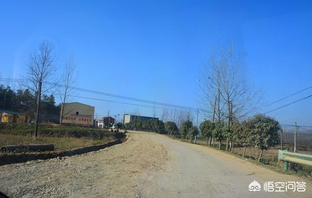 今日头条，百家号，企鹅号，你们更喜欢哪一家？