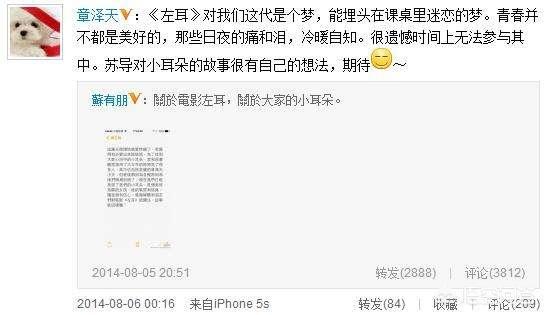“奶茶妹妹”章泽天为什么用ins，不用微博？