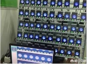 请问手机号变广告号怎么办？电话被恶意标注怎么办？