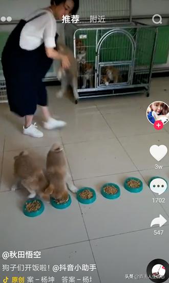 抖音如何快速涨粉？抖音涨粉丝技巧？
