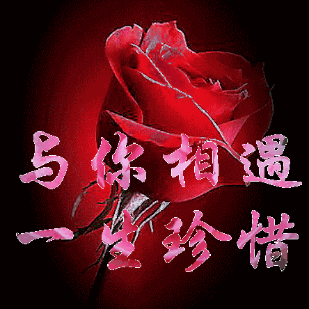 头条一天涨一百粉是怎样的体验？