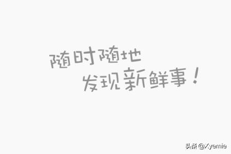 如何用手机查看微博阅读数？