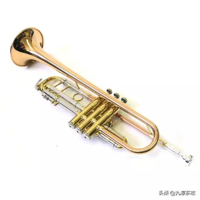 以前学过十几年小号，现在想买个自己玩玩，该买什么牌子的好？价位？