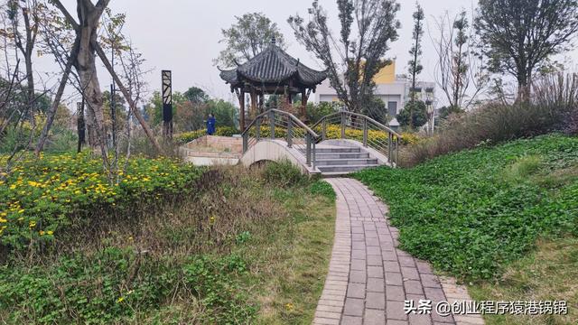 新开了一个软件开发公司，怎么样顺利的接单？