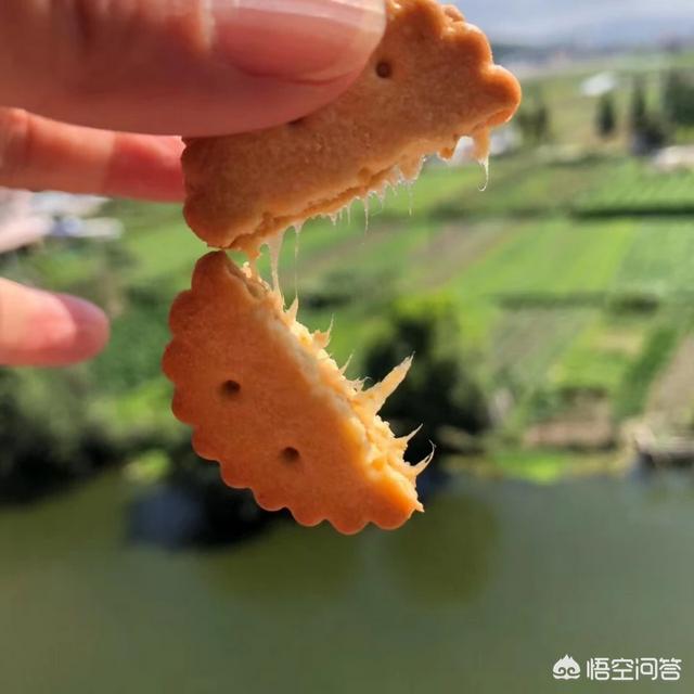 大家都吃过哪些网红零食？