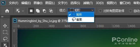 ps是什么软件
