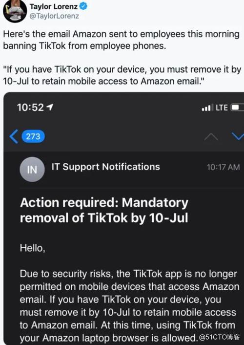 tiktok是什么意思