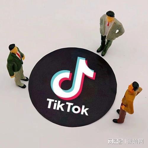 tiktok是什么意思