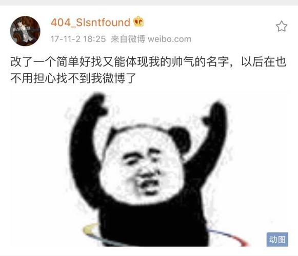up主什么意思