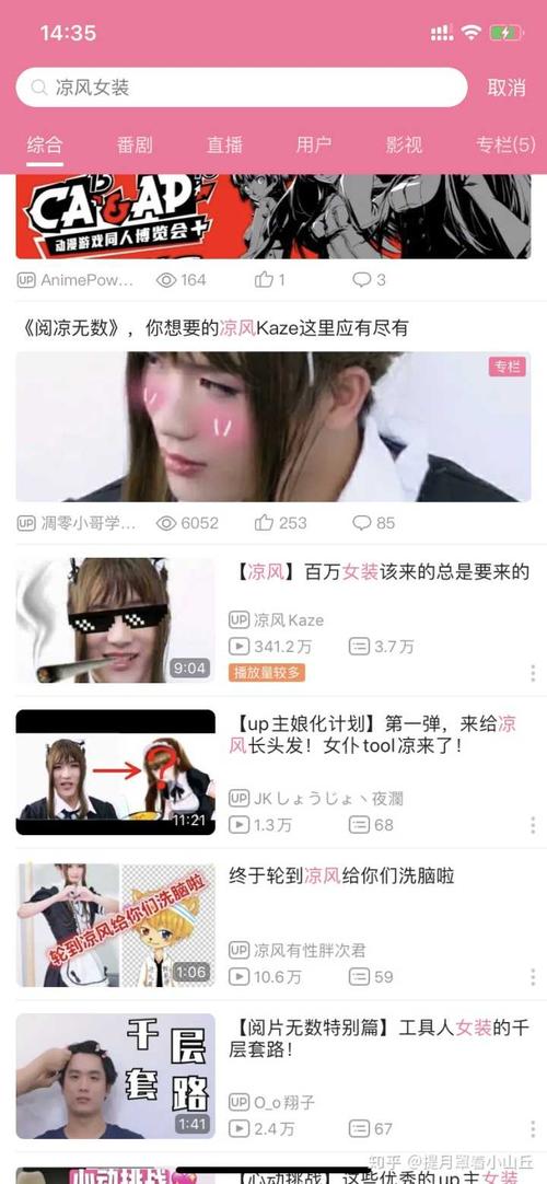 up主是什么意思