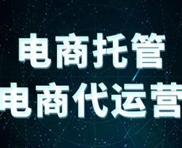 电商运营公司