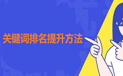 关键词优化课程