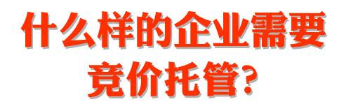 竞价专员