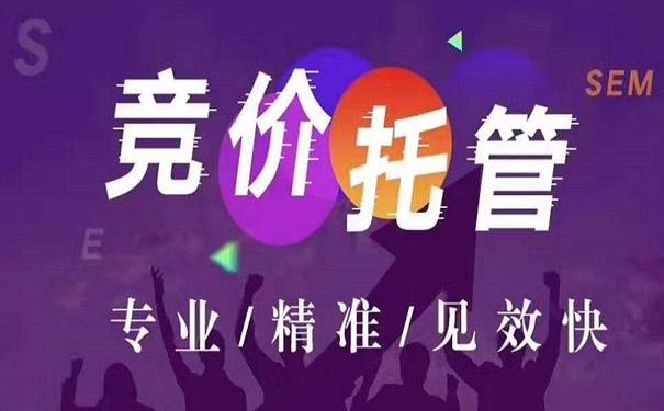 竞价自学