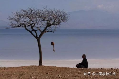 镜头恐惧症
