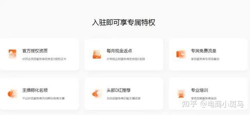 快手电商怎么做