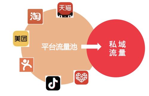 流量怎么变现呢