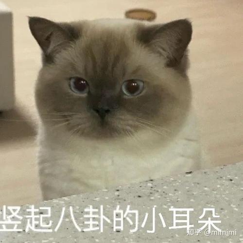 拼多多怎么改销量