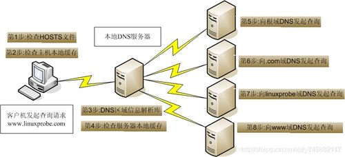 网络dns