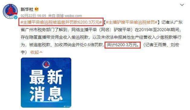 薇娅罚款