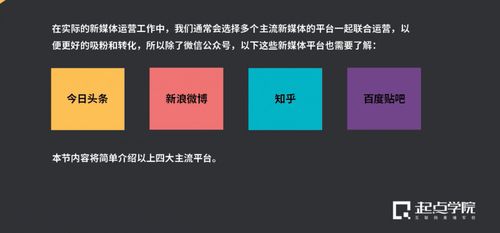 新媒体平台有哪些
