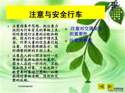 注意的分类
