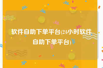 软件自助下单平台(24小时软件自助下单平台)