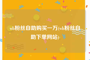 wb粉丝自助购买一万(wb粉丝自助下单网站)