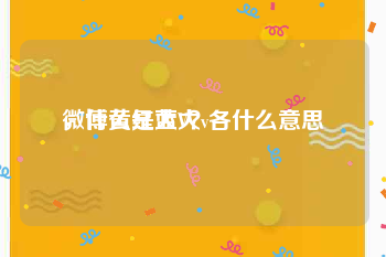 微博黄红蓝大v各什么意思
，什么是大V？