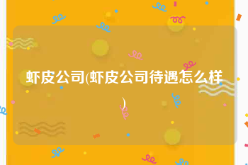 虾皮公司(虾皮公司待遇怎么样)